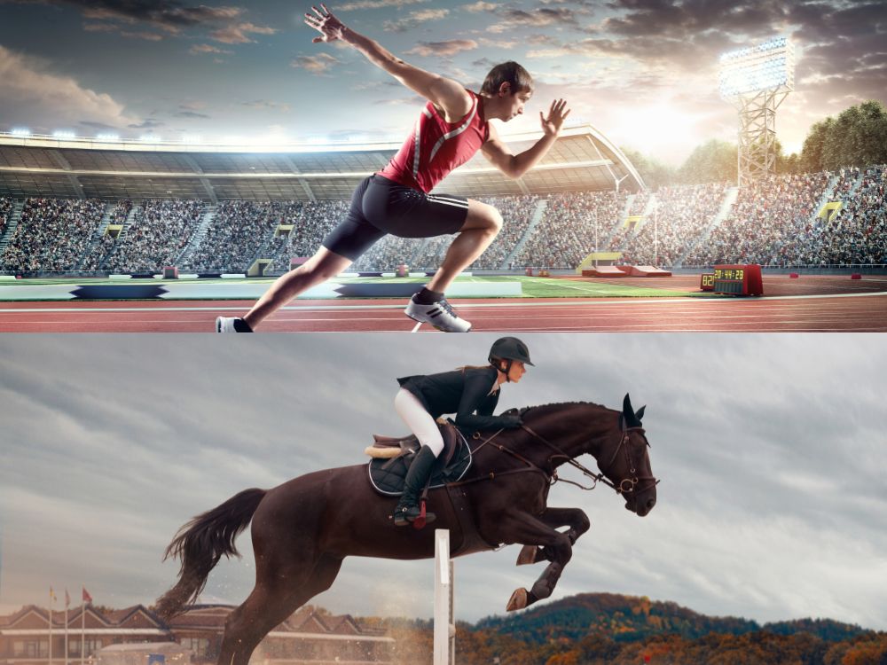 Anwaltskanzlei Krüger – Ihr Partner für Sportrecht und Pferderecht